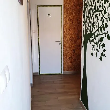 Roots Apartment Zambujeira do Mar Exterior photo